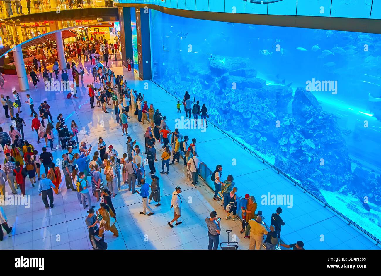 DUBAÏ, Émirats Arabes Unis - 4 MARS 2020 : panneau acrylique géant de l'aquarium et du zoo sous-marin de Dubaï avec différents animaux aquatiques (requins, raies, poissons) derrière Banque D'Images