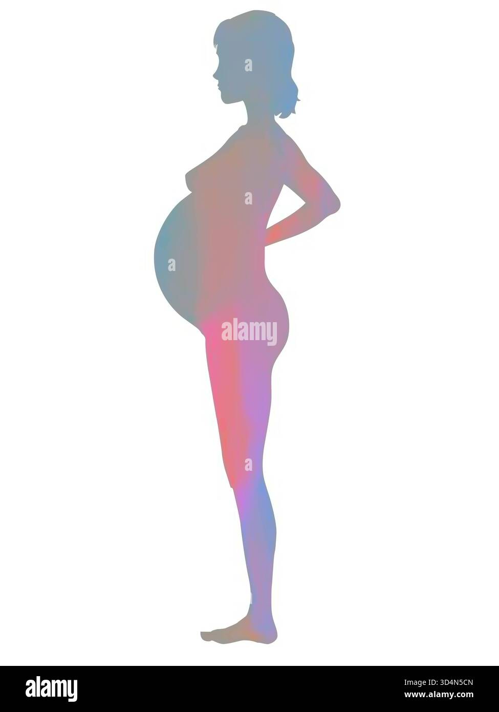 Silhouette d'une femme enceinte. Silhouette d'une femme enceinte 016240 086 Banque D'Images