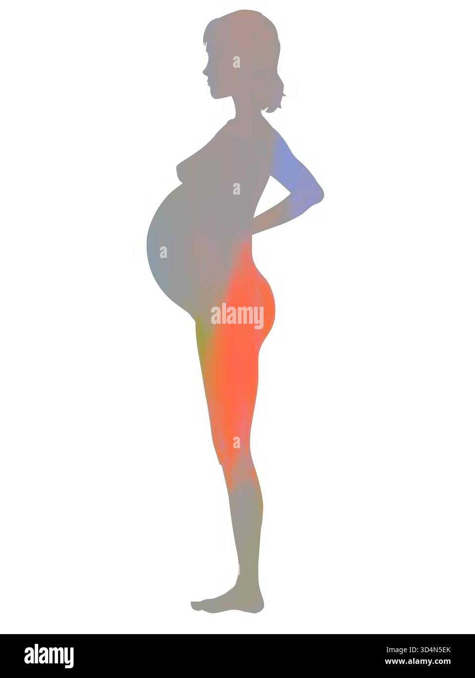 Silhouette d'une femme enceinte. Silhouette d'une femme enceinte 016240 087 Banque D'Images