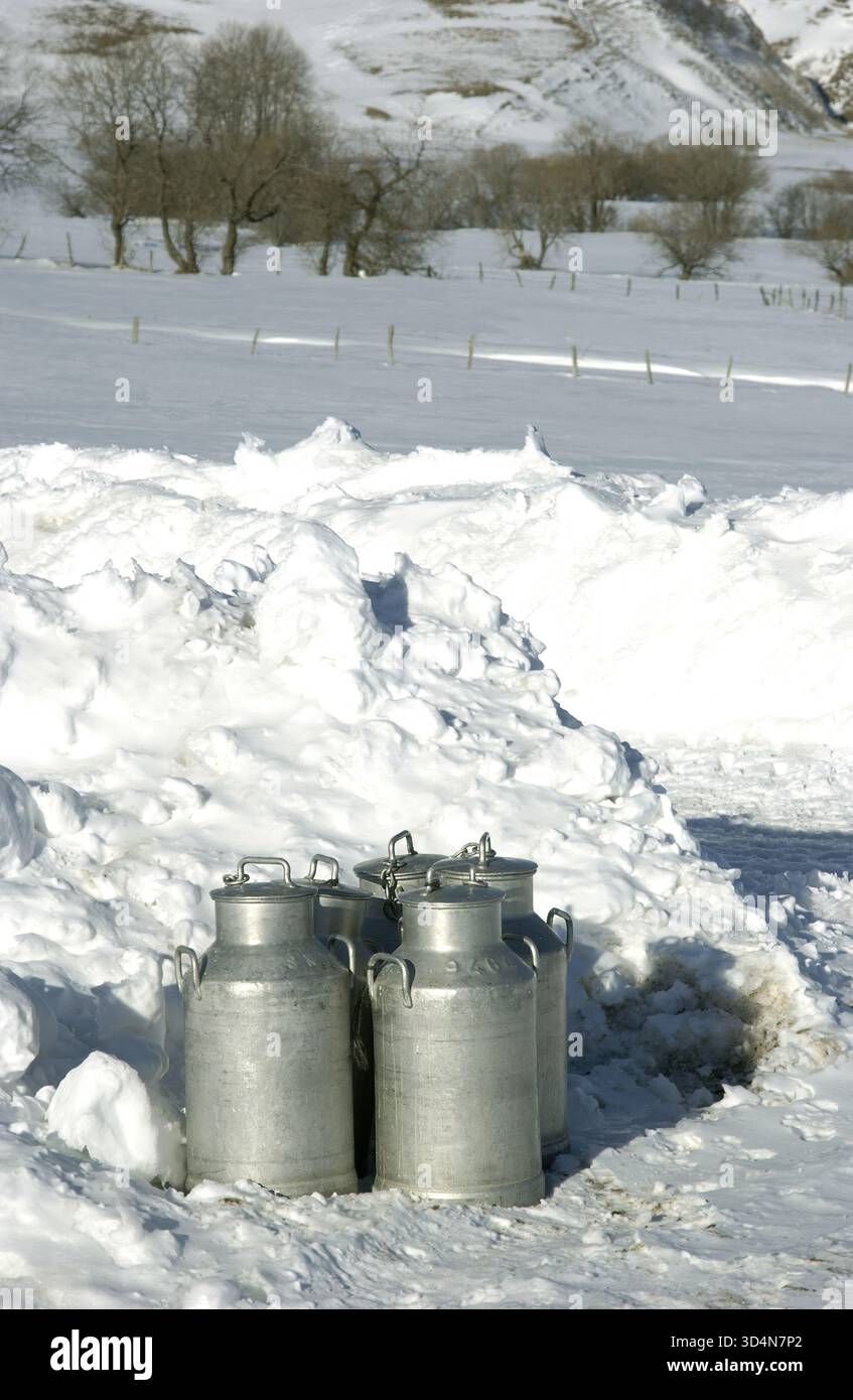 Parc régional des volcans d'Auvergne.Cezallier. Quatre canettes de lait en métal sont placées dans la neige à côté d'une déneigeuse. Puy de Dome. Auvergne Rhône Alpes. France Banque D'Images
