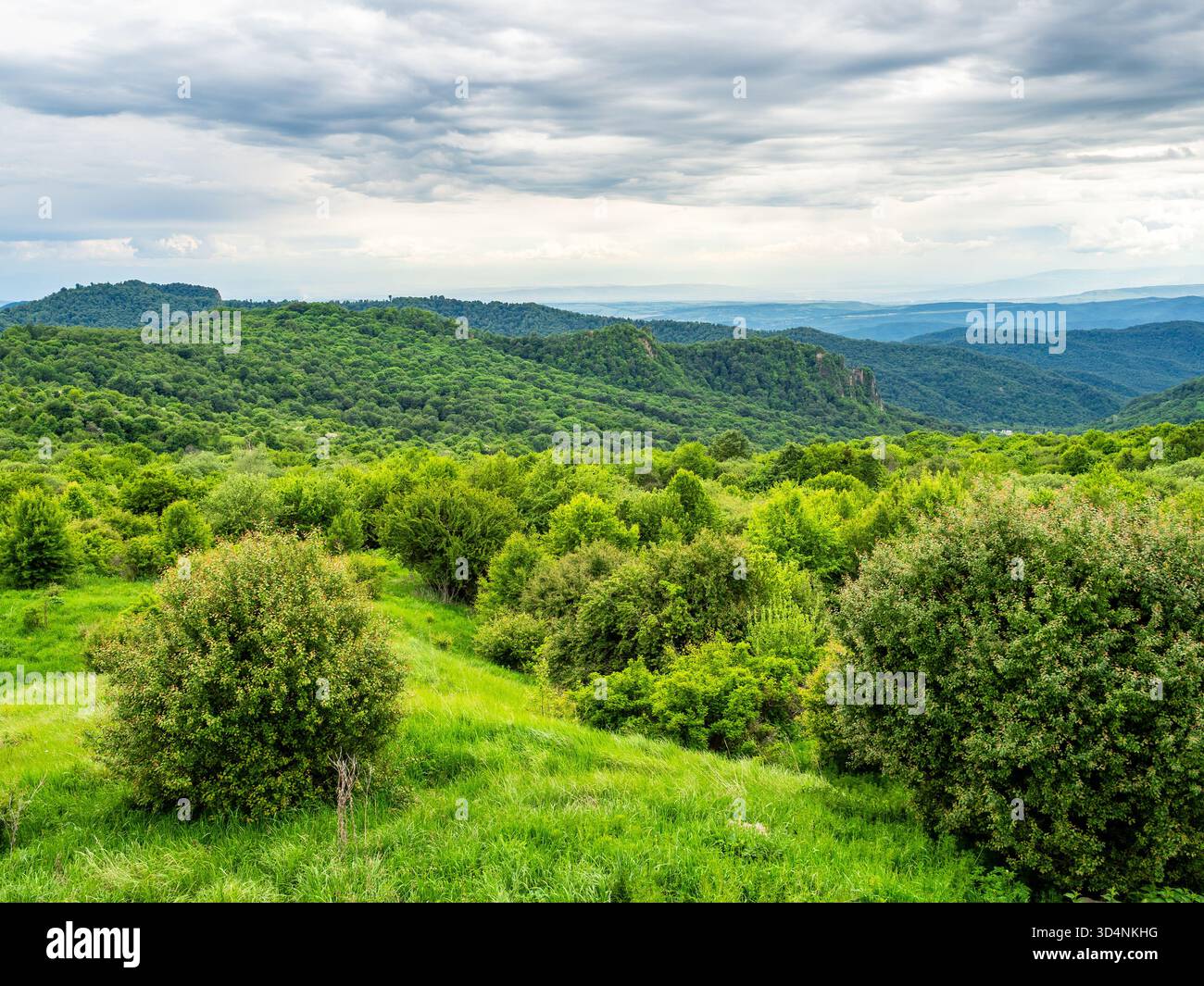 Sommet de montagne vert au col de montagne de Gombori dans la région de Kakheti entre Telavi et Tbilissi villes dans la soirée d'été, Géorgie Banque D'Images