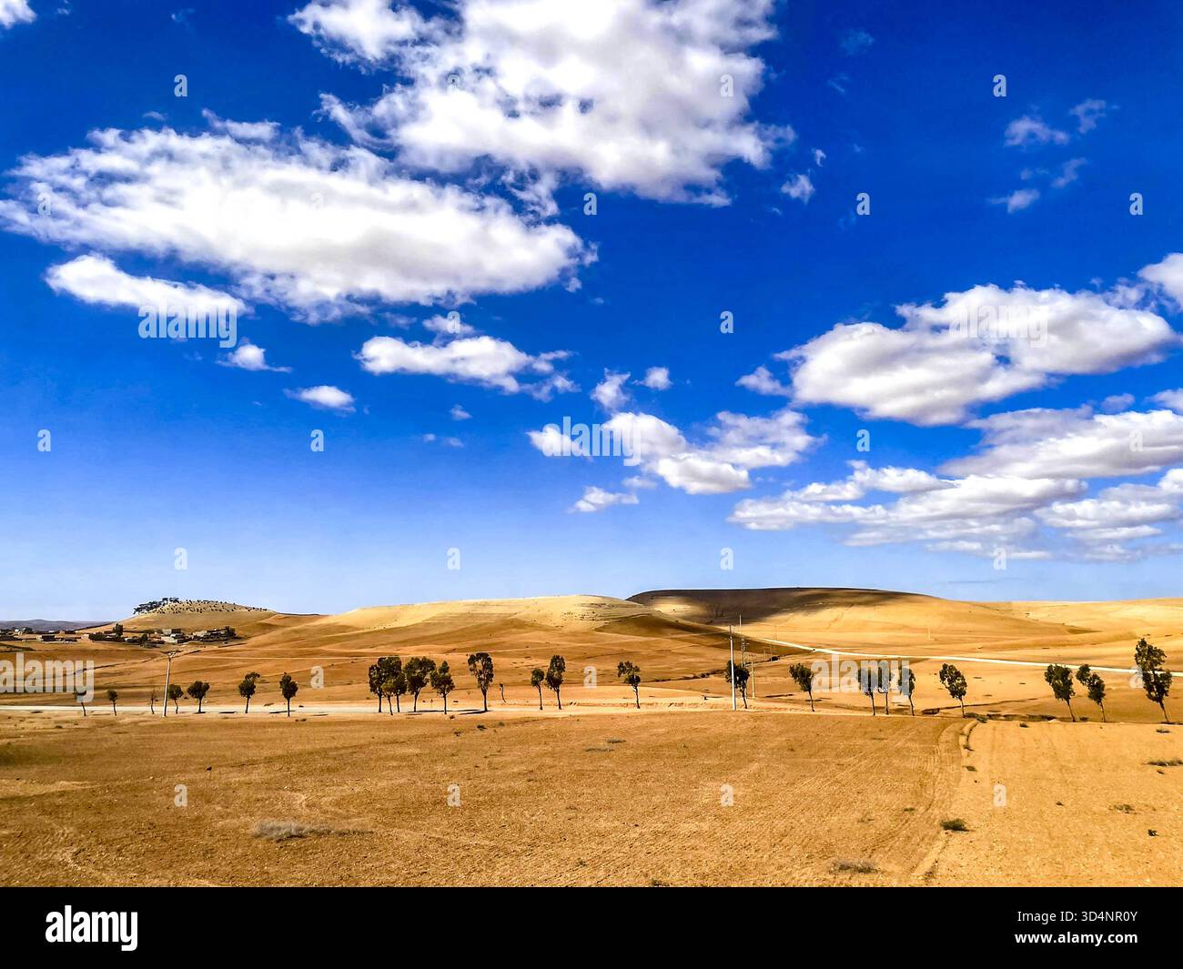 Paysage vu d'une fenêtre de train au Maroc. Banque D'Images