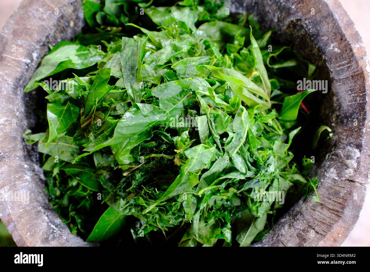 Préparer un repas traditionnel dans un village sur les hauts plateaux. Feuilles de manioc. Kontum. Vietnam. Banque D'Images
