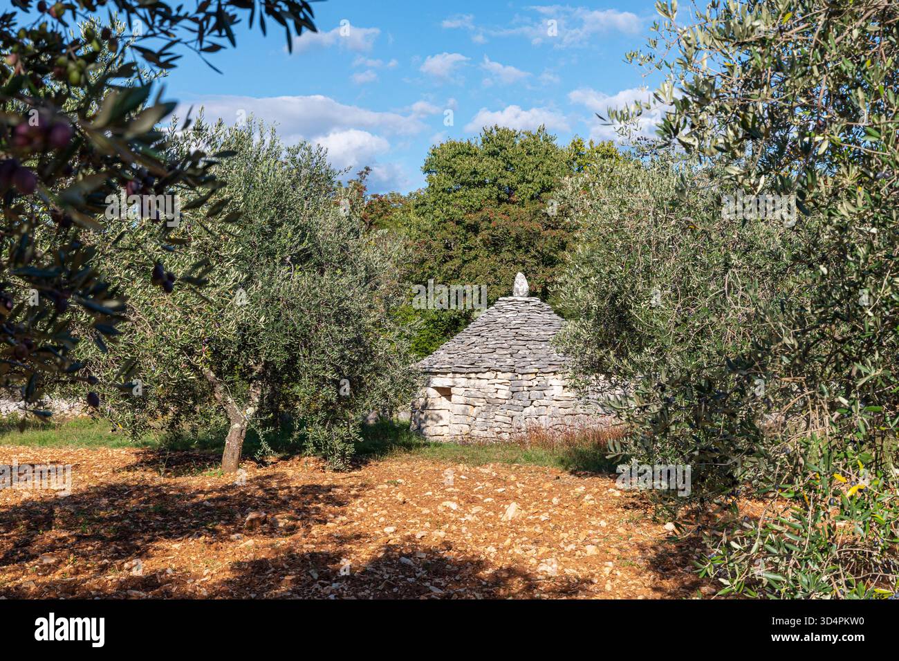 Kazun, ancien abri traditionnel en Istrie Banque D'Images