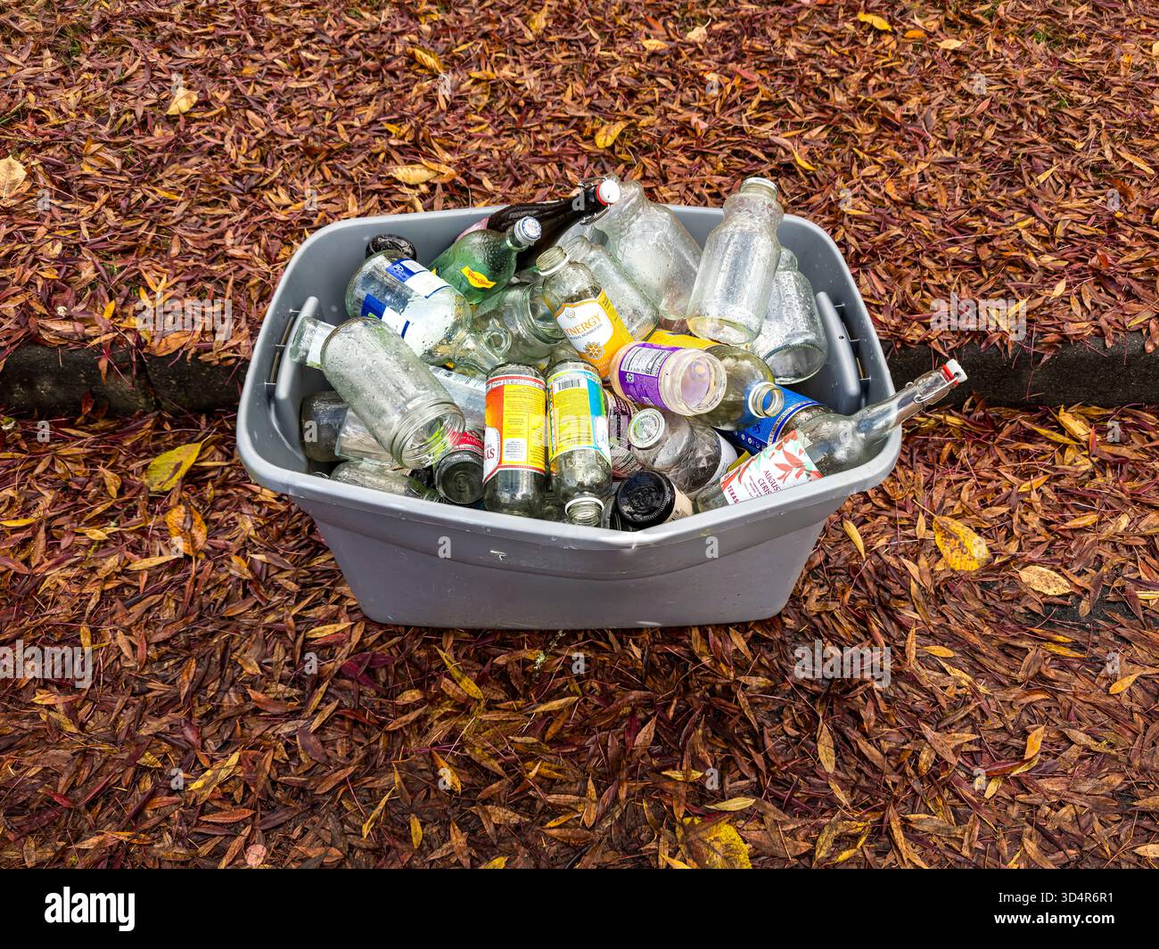 Verre pour le recyclage sur un matin d'automne humide. Des feuilles colorées tombées humides couvrent le sol. Gouttelettes d'eau sur des bouteilles en verre et des bocaux après une pluie. - Image de stock capturée avec un smartphone