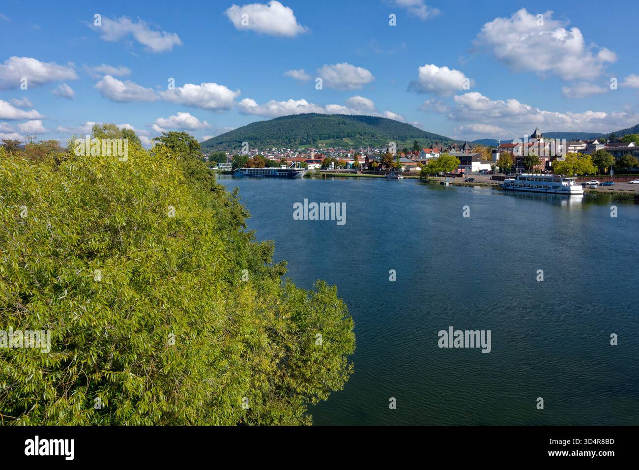 Rivière main près de Miltenberg en basse-Franconie, Bavière, Allemagne Banque D'Images