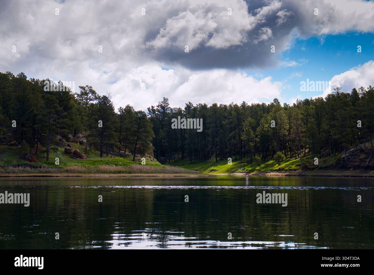 Arbres verts à côté du lac au parc d'État Keyhole un jour de printemps dans le Wyoming. Banque D'Images