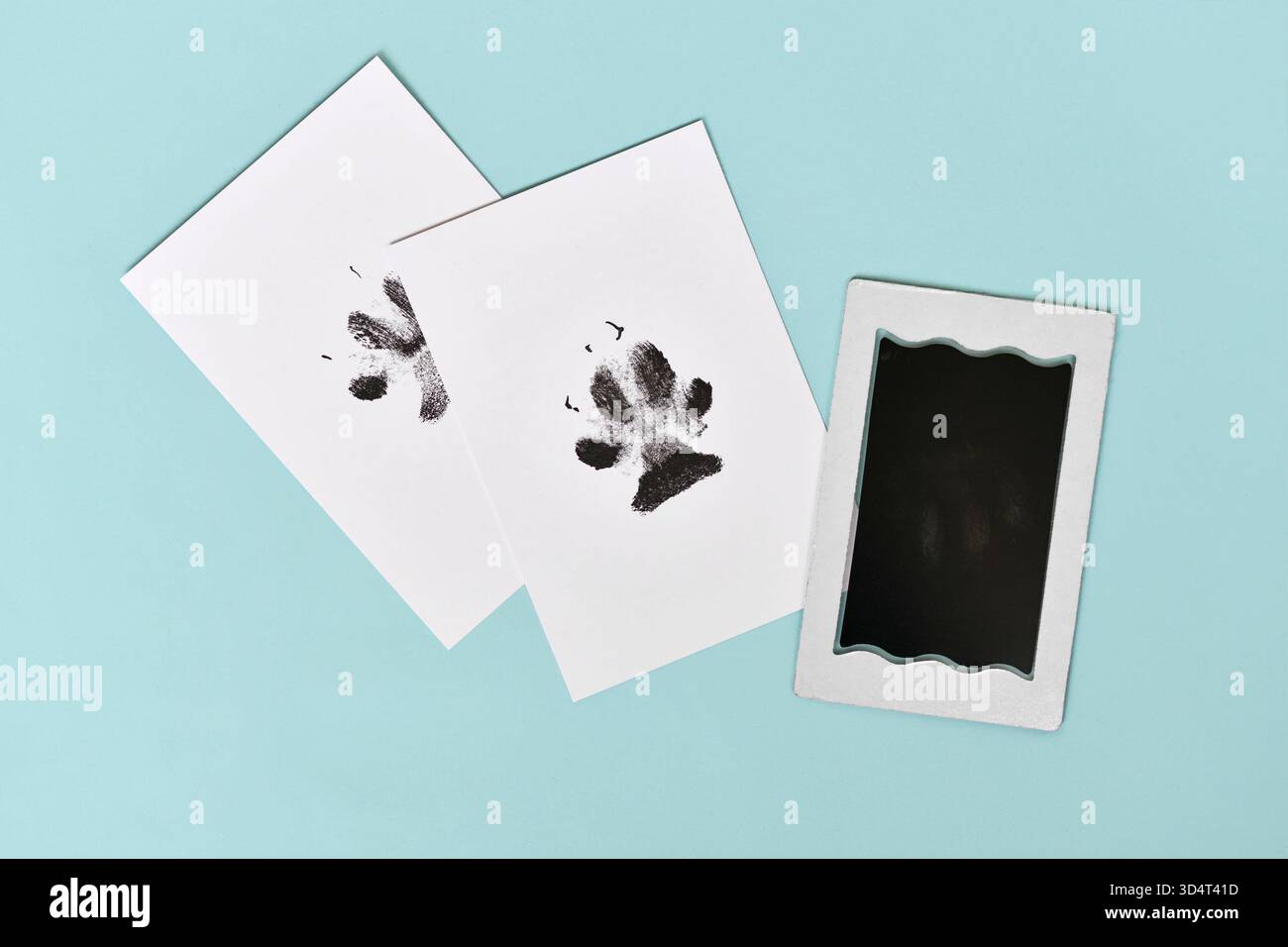 Patte de chien imprime sur papier blanc.next à tampon d'encre sur fond bleu Banque D'Images