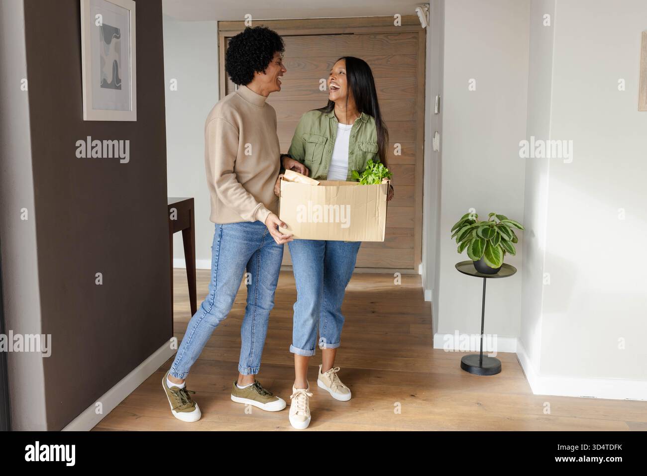 Boîte de transport de couple diversifiée remplie de plantes vertes en pot dans l'entrée de la maison, avec table de console Banque D'Images