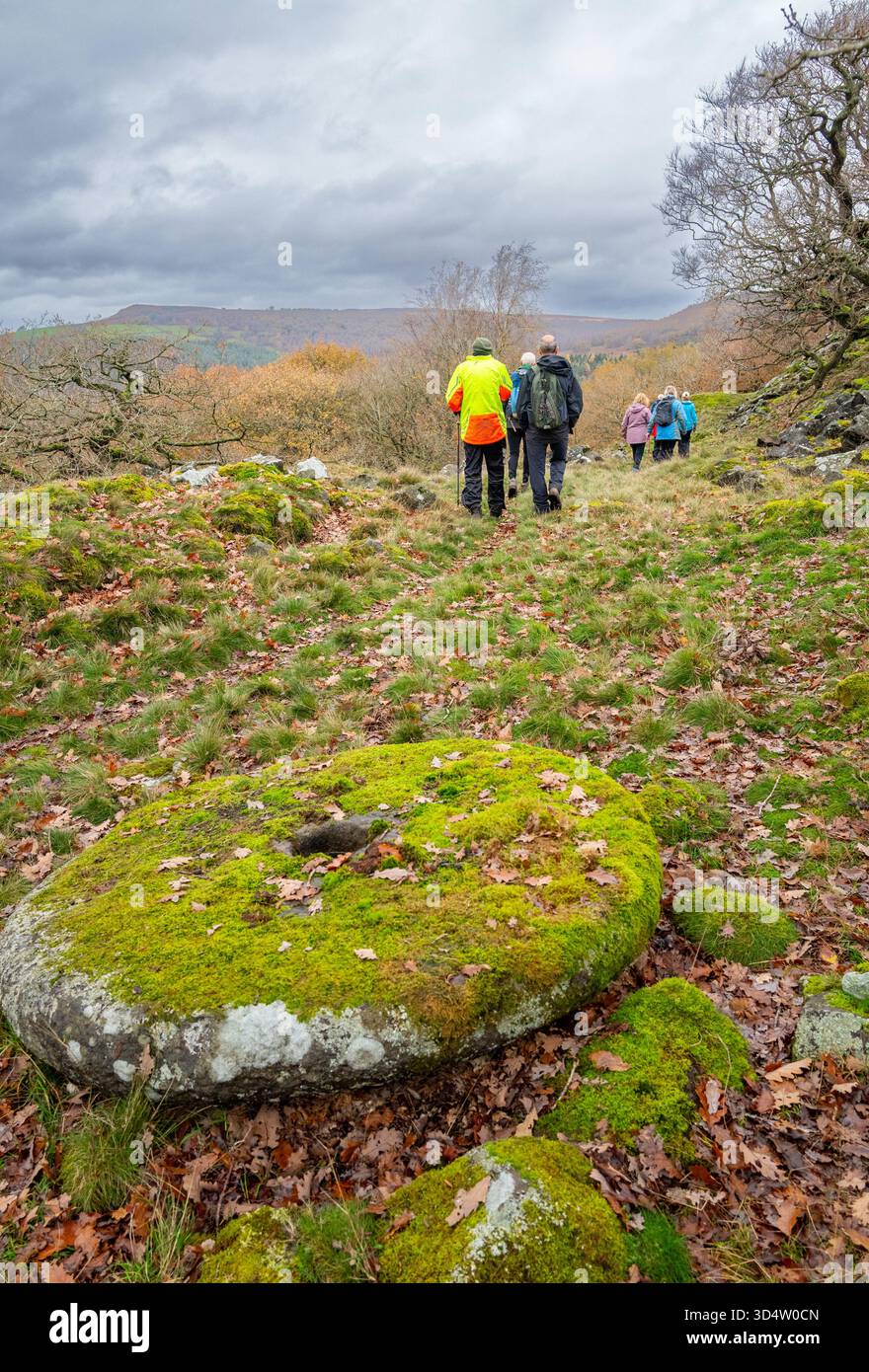 Groupe de marcheurs marchant le long d'un sentier rocheux coupé à l'intérieur d'une colline et passant des meules abandonnées couvertes de mousse, Derbyshire Peak District, Baslow. Banque D'Images