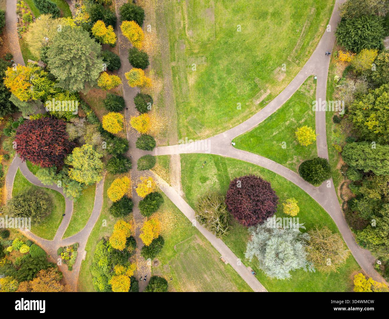 Arbres d'automne à Grosvenor Park, Chester, Cheshire, Angleterre. Feuillage saisonnier et sentiers Banque D'Images