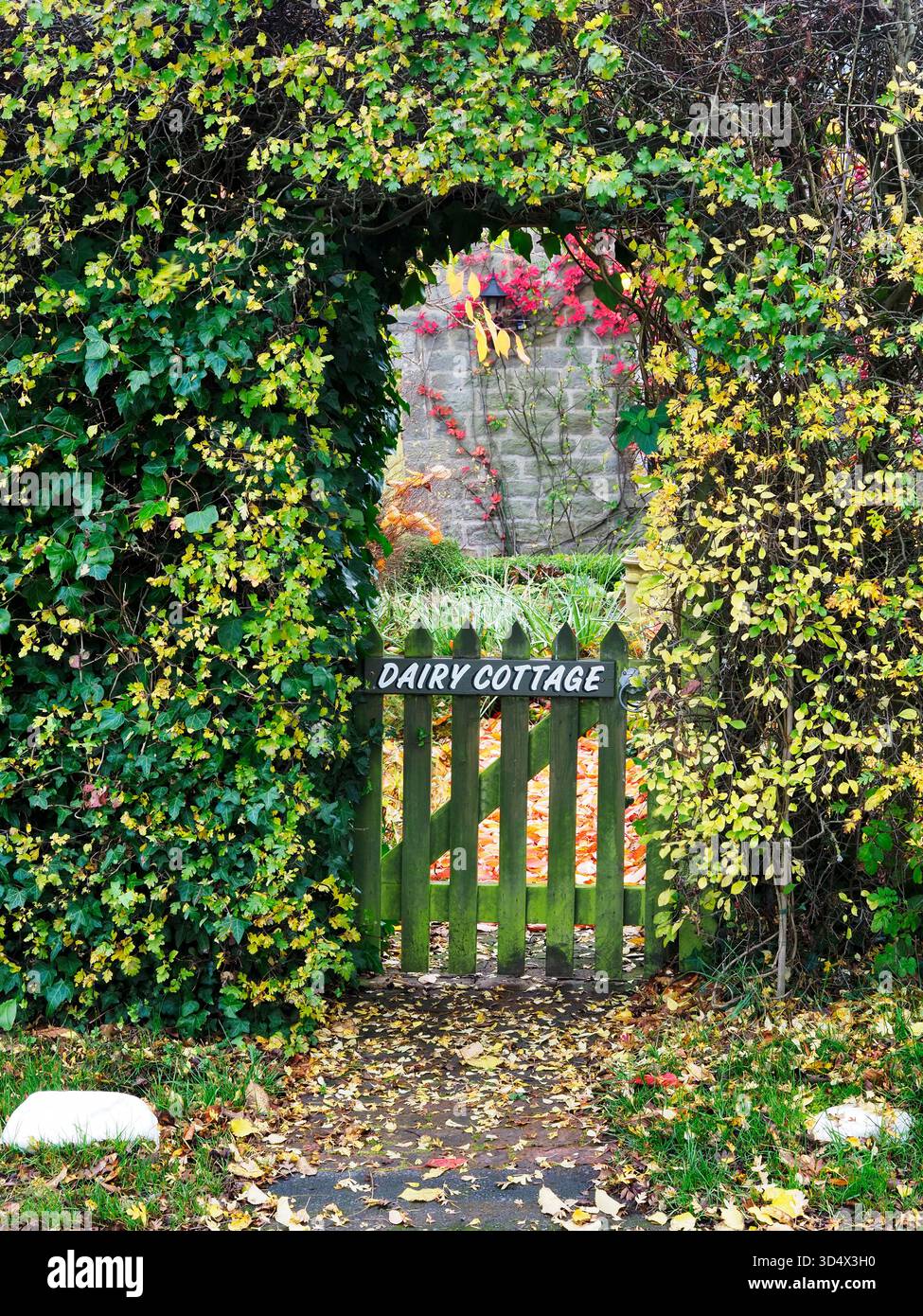 Porte de jardin et entrée par une haie dans le village de Netherby dans le North Yorkshire Angleterre Banque D'Images