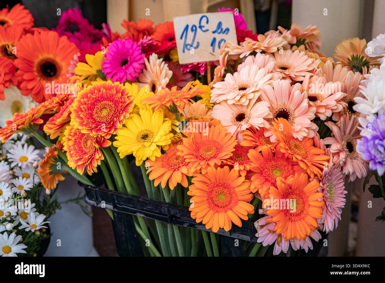 Gerberas oranges colorées à utiliser dans les bouquets à vendre au cours Saleya, marché fermier dans la vieille ville ou vieille ville de Nice, Sud de la France Banque D'Images