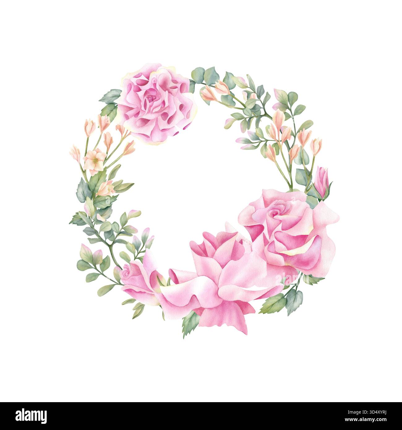 Couronne de roses. Fleur rose aquarelle, cadre floral de composition printanière, modèle. Illustration botanique délicate avec des feuilles, freesia isolé de Banque D'Images