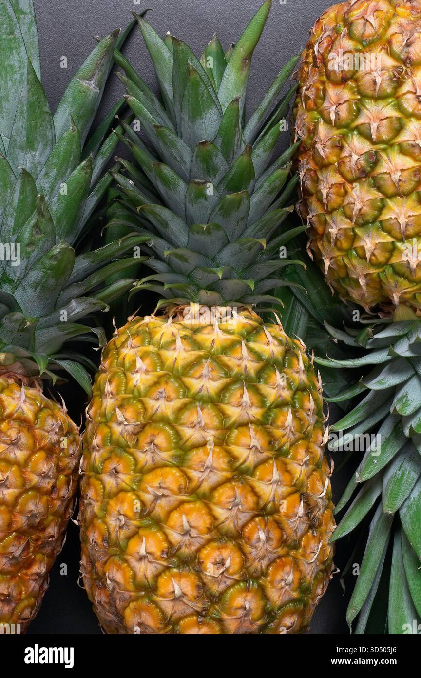Ananas, États-Unis Banque D'Images