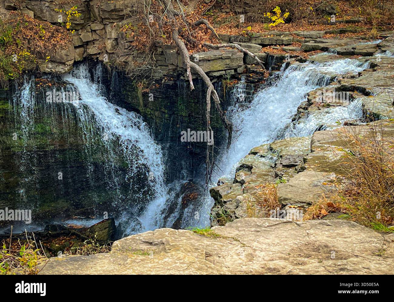 Une chute d'eau coule sur une paroi rocheuse en couches et une chute pure, entourée d'une couverture de feuilles d'automne dans un paysage naturel tranquille. Banque D'Images