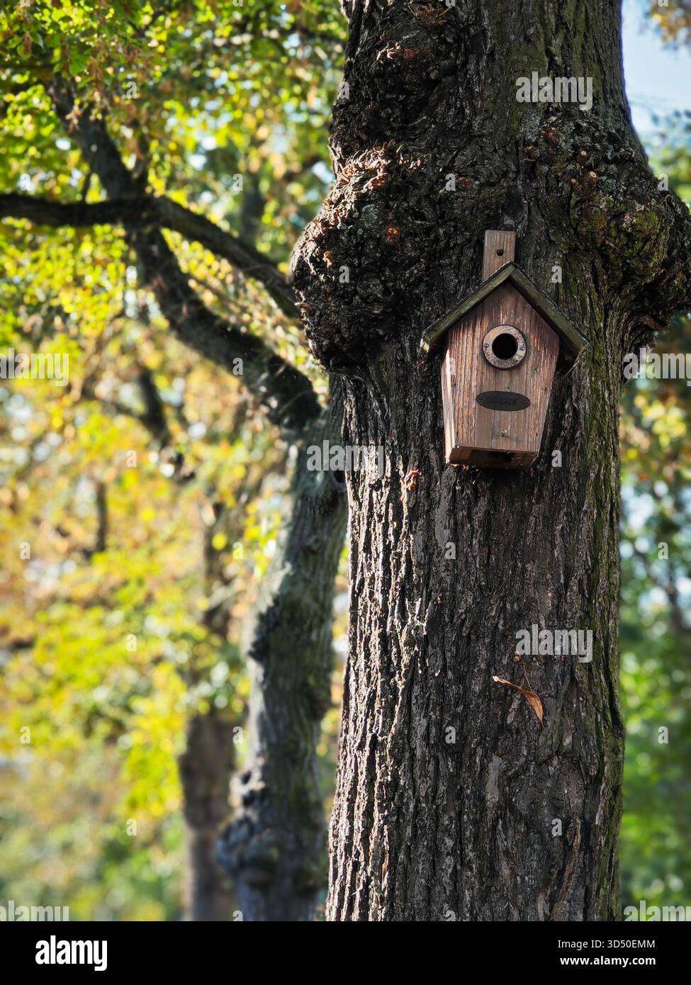 Un petit nichoir. L'arrivée de l'automne, feuilles jaunes. Banque D'Images