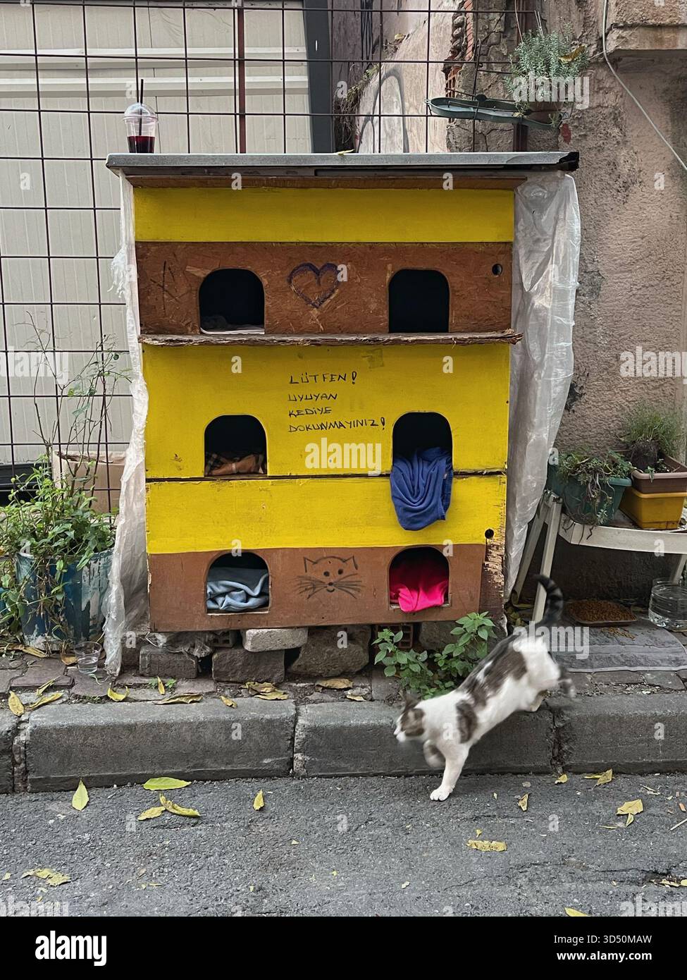 Abri pour chats à plusieurs niveaux avec motif de coeur et noms, placé sur la rue Istanbul pour soutenir les chats errants Banque D'Images