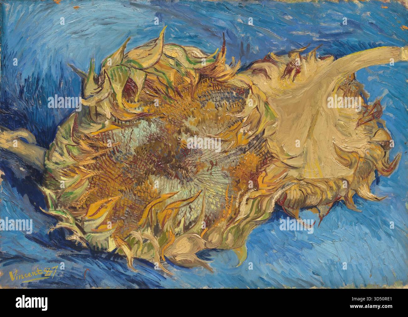 Les tournesols de Vincent van Gogh Illustration de Vecteur