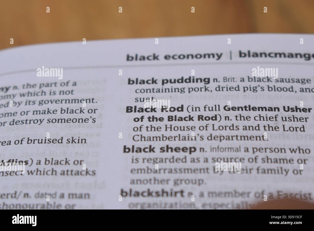 Gros plan de la page du dictionnaire anglais avec Word - tige noire Banque D'Images