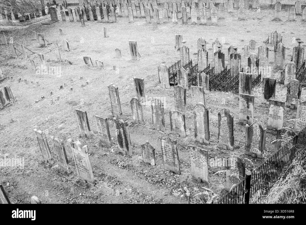 Cimetière juif. Le vieux cimetière juif de la gare de Strijp S. Eindhoven, pays-Bas. Tourné sur film analogique noir et blanc. Eindhoven Strijp S Noord-Brabant Nederland Copyright : xGuidoxKoppesxPhotox Banque D'Images