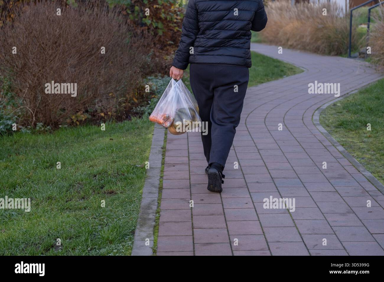 Vue arrière d'une personne en veste noire marchant le long d'un sentier de parc portant un sac en plastique avec des légumes et des fruits. L'image transmet Lif de tous les jours Banque D'Images