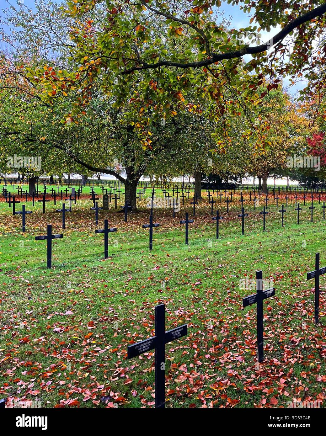 Cimetière allemand de Neuville St Vaast près d'Arras, avec des rangées de croix de fer nichées parmi les feuilles d'automne sur ce paysage historique de la première Guerre mondiale Banque D'Images