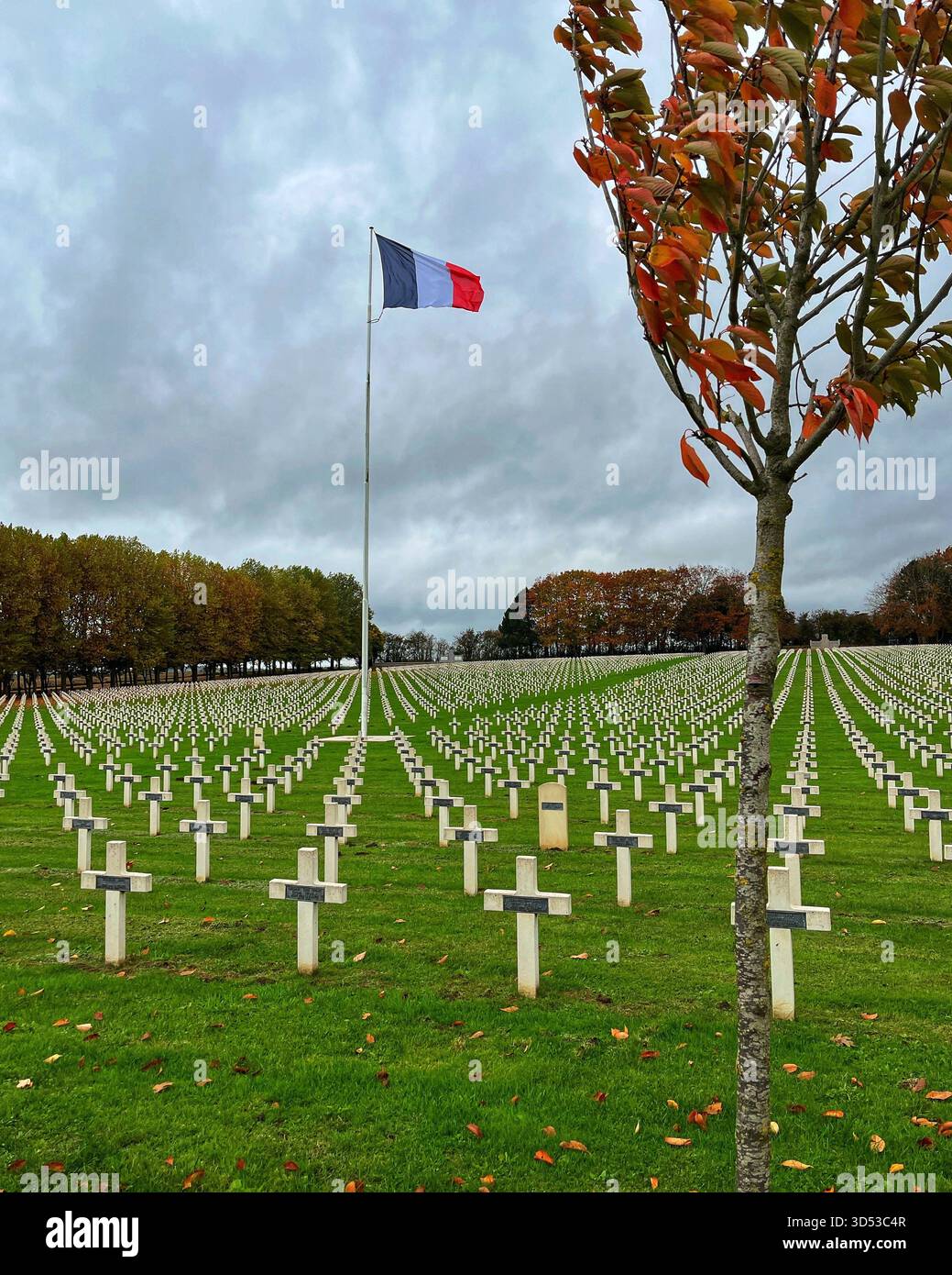 Cimetière français de la Targette près de Neuville St Vaast, avec des milliers de croix blanches gravées à flanc de colline sous le ciel d'automne. Banque D'Images