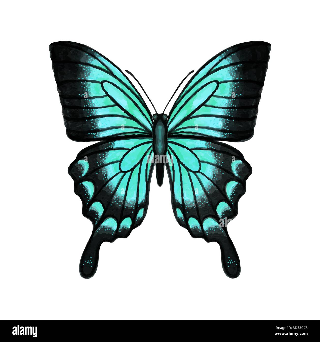 Aquarelle papillon Papilio blumei avec ailes ouvertes symétriques isolé sur fond blanc, insecte tropical détaillé, style aquarelle. Illustration de Vecteur
