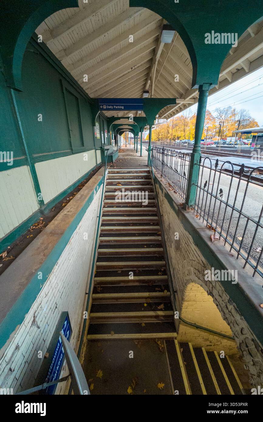 Devon Station. Un escalier long et étroit menant à une plate-forme. L'escalier est en bois et recouvert de feuilles Banque D'Images