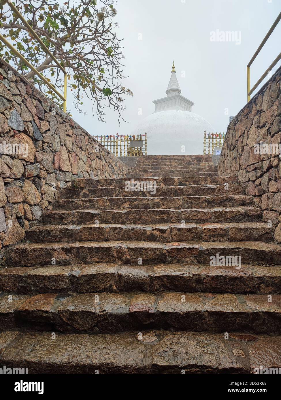Sithulpawwa Rock Temple à Yala, Sri Lanka, est un ancien monastère bouddhiste perché sur des formations rocheuses accidentées entourées de nature sauvage et de sérénité - Image de stock capturée avec un smartphone