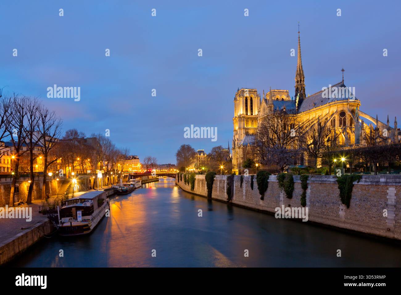 Vue panoramique de la cathédrale notre-Dame de Paris la nuit, France Banque D'Images