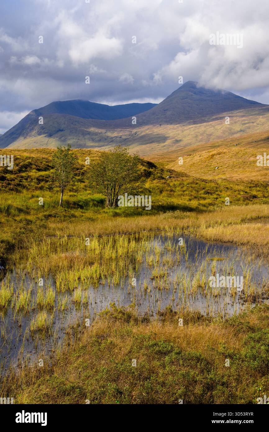 Vue d'un petit lochan sur Rannoch Moor donnant sur Glencoe, Lochaber, Écosse, Royaume-Uni. Banque D'Images