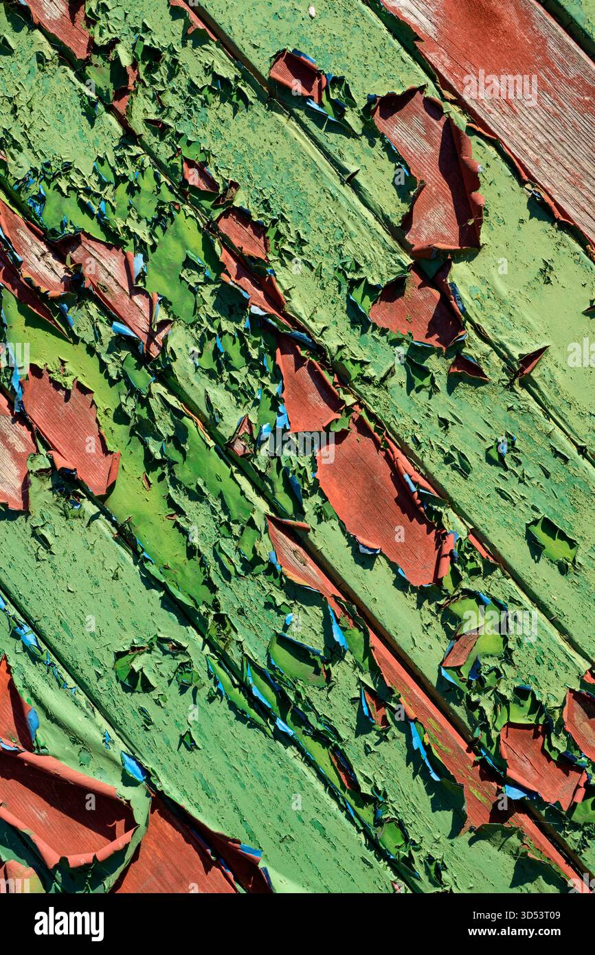 Peinture pelable sur une porte de garage, Brechin, Angus, Écosse, Royaume-Uni. Banque D'Images