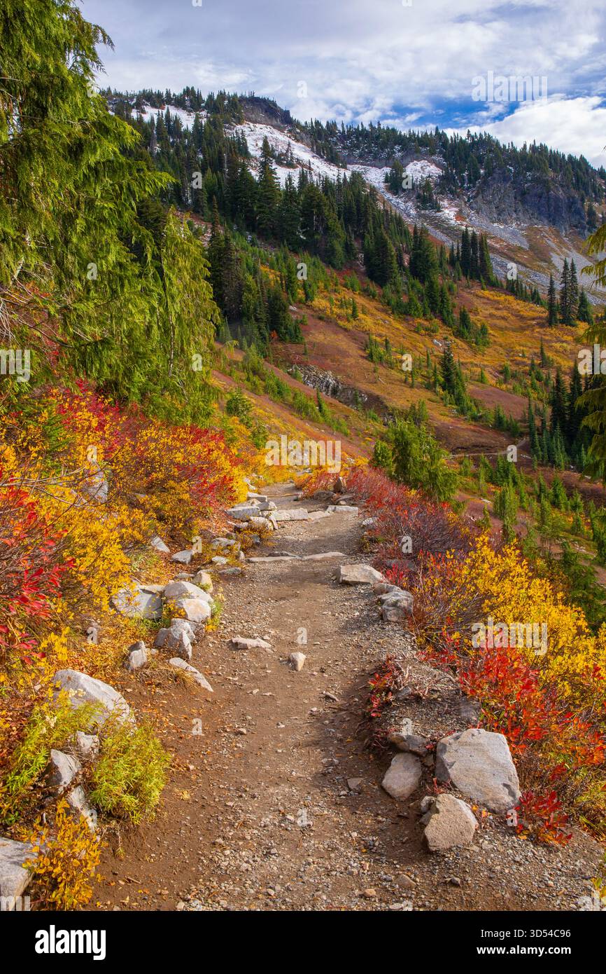 Sentier de randonnée entouré par un feuillage luxuriant d'automne à Mt. Parc national Rainier dans l'État de Washington Banque D'Images