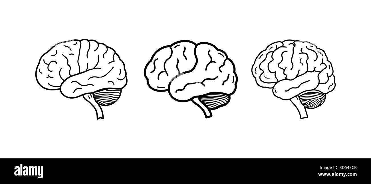 Trois illustrations de cerveau humain dessinées à la main isolées sur fond blanc Illustration de Vecteur