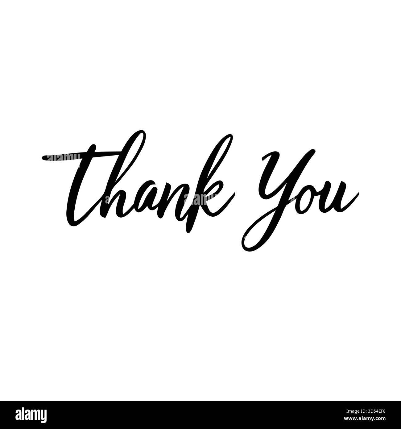 Script calligraphique de remerciement élégant pour cartes, invitations et notes d'affaires Illustration de Vecteur