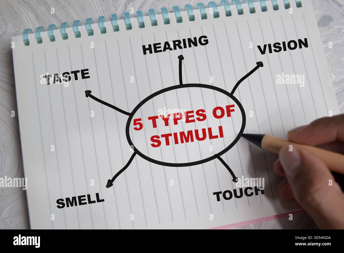 Concept de carte mentale 5 types de stimuli écrire sur livre avec des mots-clés isolés sur table en bois. Banque D'Images