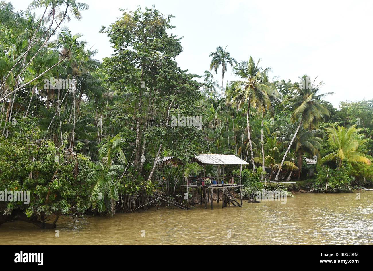 Belém, Brésil, 10 novembre 2025. Habitants situés sur la rivière Guamá, sur l'île de Combu, dans la municipalité de Belém, dans l'État de Pará, situé Banque D'Images