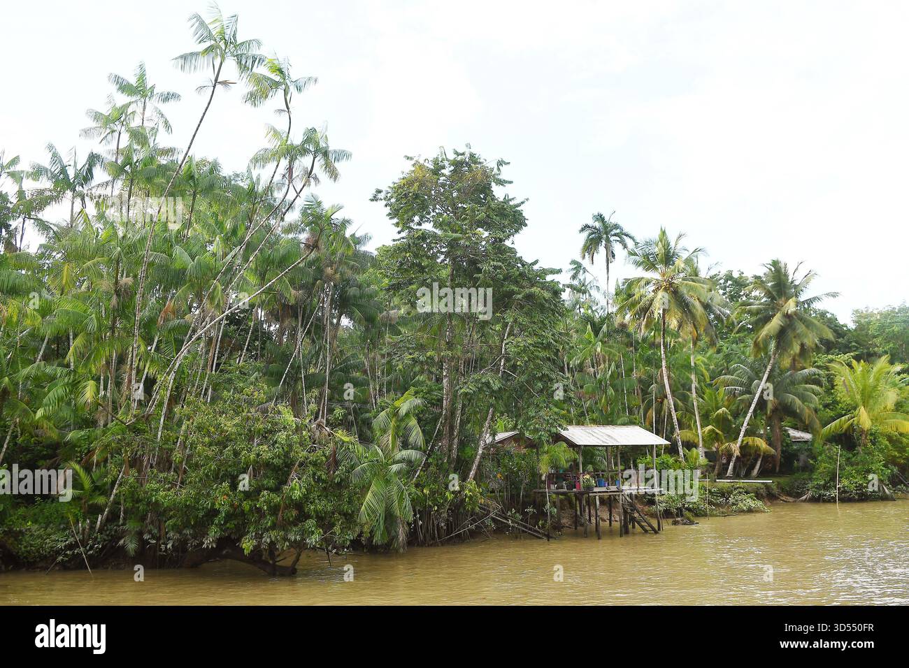 Belém, Brésil, 10 novembre 2025. Habitants situés sur la rivière Guamá, sur l'île de Combu, dans la municipalité de Belém, dans l'État de Pará, situé Banque D'Images