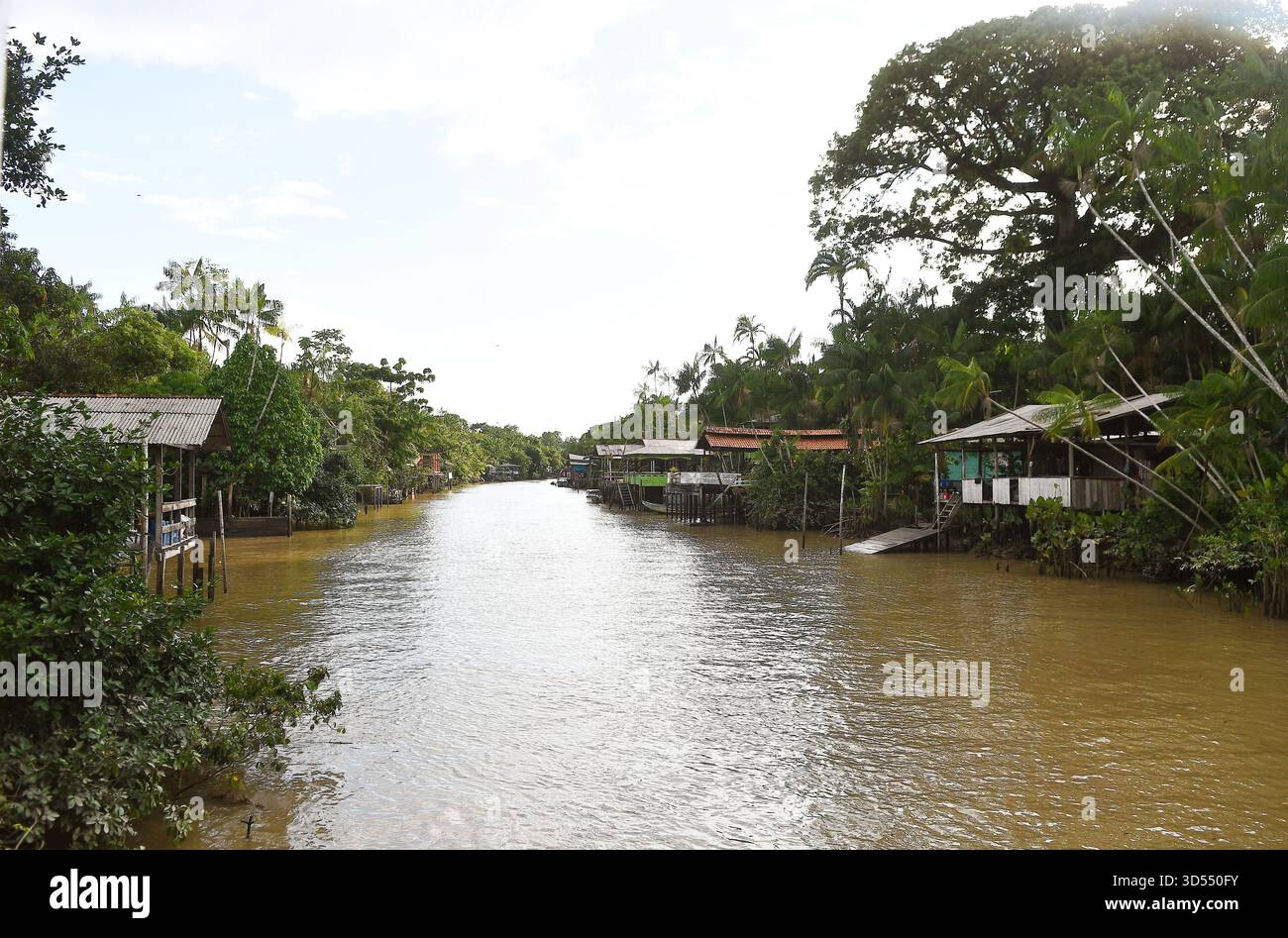 Belém, Brésil, 10 novembre 2025. Habitants situés sur la rivière Guamá, sur l'île de Combu, dans la municipalité de Belém, dans l'État de Pará, situé Banque D'Images