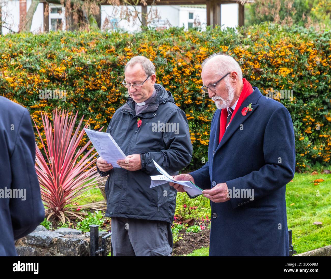 Lire les noms des morts. Dimanche du souvenir à East Budleigh. Banque D'Images