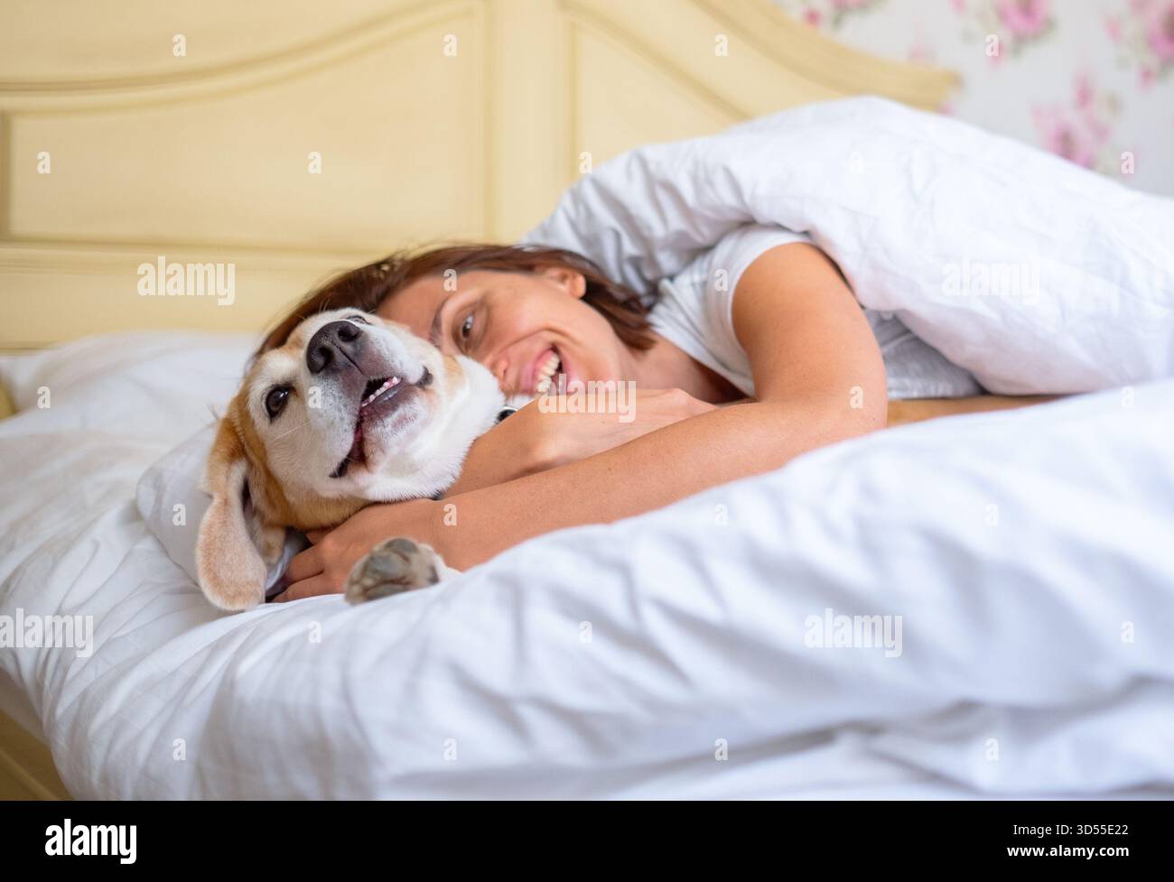 Moment du matin confortable avec femme souriante embrassant son chien beagle sous une couverture douce dans une chambre lumineuse, montrant chaleur, confort, compagnie et relaxin Banque D'Images