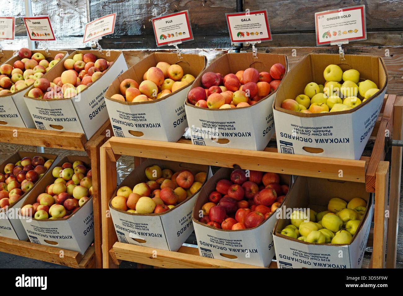 Boîtes de pommes fraîchement cueillies à vendre dans un petit verger dans la ville de Parkdale, Oregon, le long du sentier fruit Loop dans les montagnes Oregon Cascade n Banque D'Images