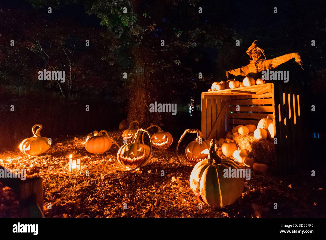 Sentier nocturne d'Halloween au palais de Blenheim, Woodstock, Royaume-Uni Banque D'Images
