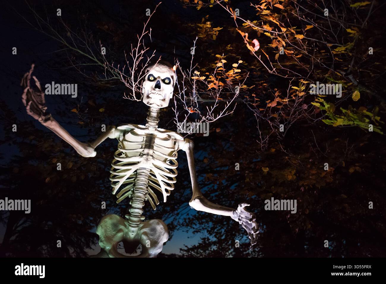 Sentier nocturne d'Halloween au palais de Blenheim, Woodstock, Royaume-Uni Banque D'Images