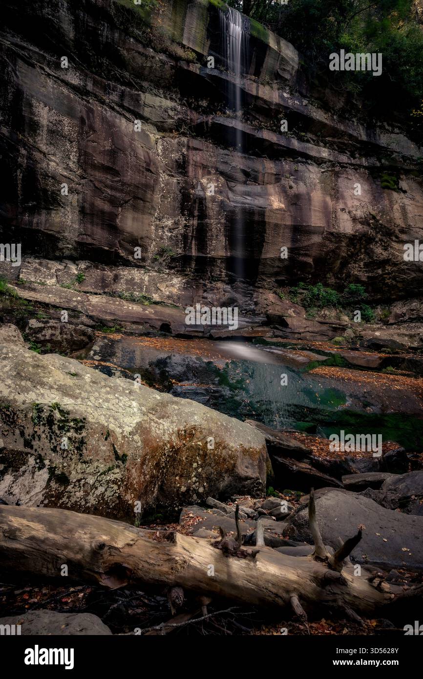 Sur le chemin du Mont le Conte - Rainbow Falls Banque D'Images