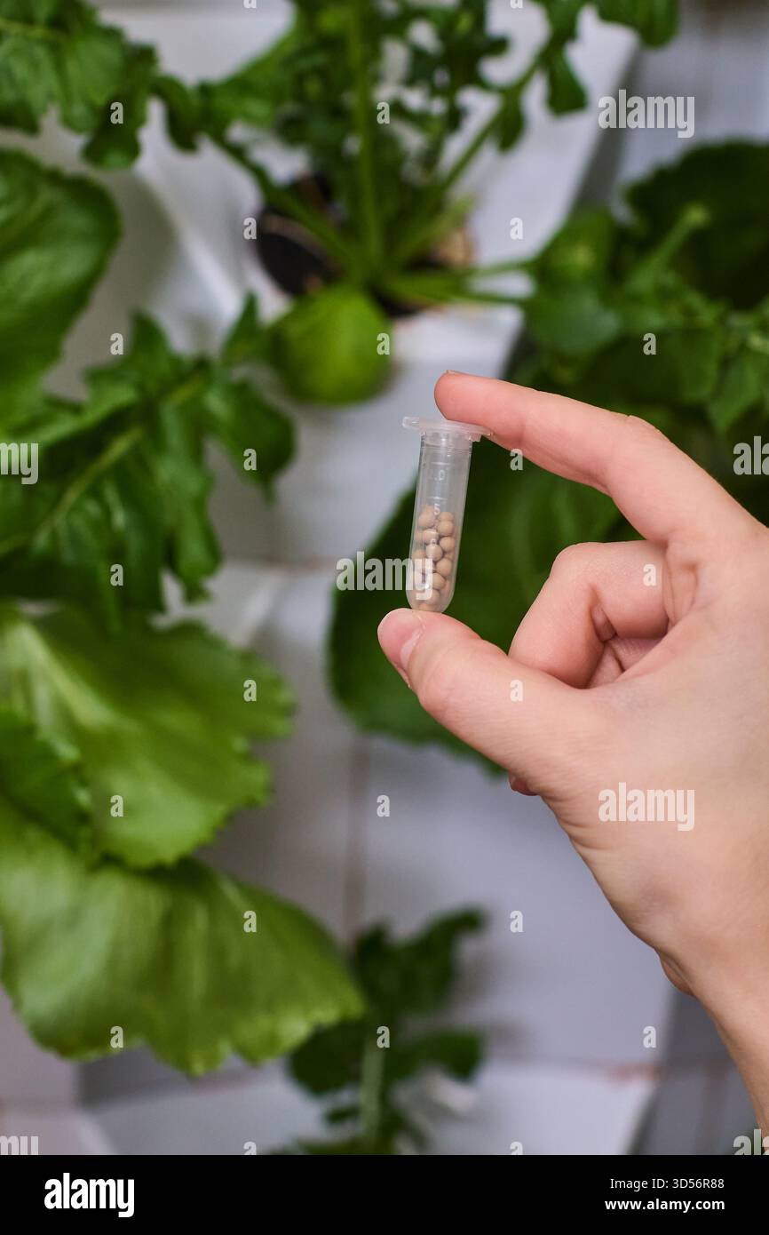 Tenir un flacon de graines dans un jardin intérieur nourricier rempli de vie et de croissance vibrantes Banque D'Images