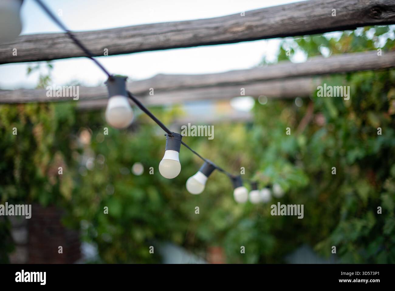 Guirlande lumineuse suspendue à l'extérieur avec fond de verdure floue. Banque D'Images
