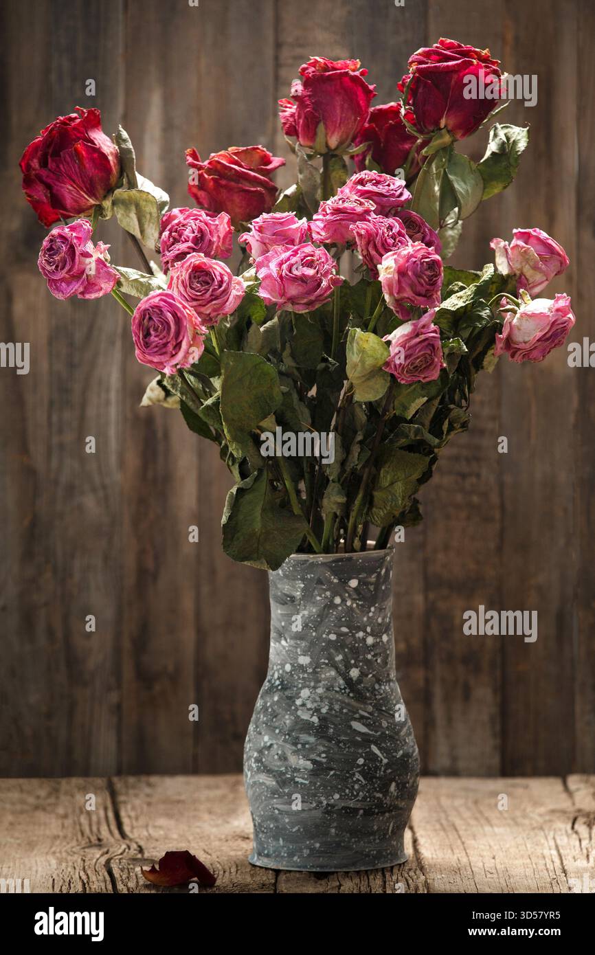 Roses roses roses sèches dans un vase en argile gris fait à la main sur un fond en bois. Bouquet de roses mortes, gros plan. Le concept de solitude, d'âge, de tristesse, de vieillesse Banque D'Images
